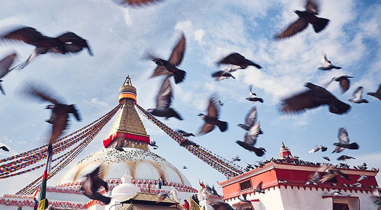 Birds in motion around a stupa - you can meditate in motion