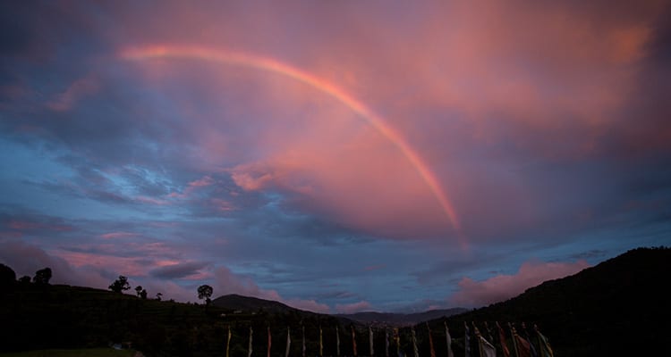 Rainbow symbolizes compassion, which can benefit your health