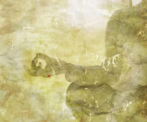 Journey to Wisdom Level 5 Perfection of Meditation