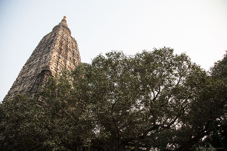 An image of the Bodhgaya stupa, where Buddha attained enlightenment