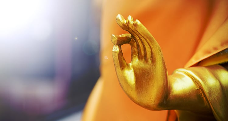 An image of a buddha's hand in teaching mudra